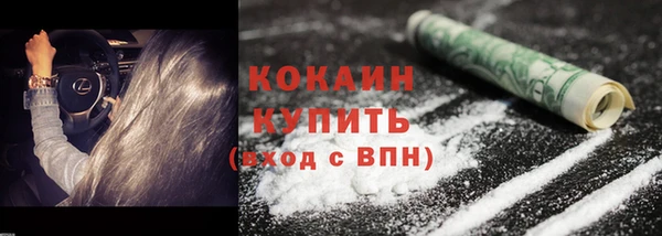 ECSTASY Богородицк